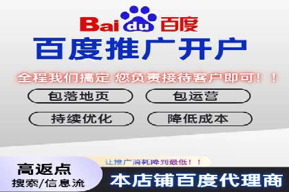 大型SEM服务公司案例分析